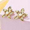 Ion Plating(IP) 304 Stainless Steel Stud Earrings EJEW-S246-05G-3