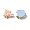 Resin Decoden Cabochons RESI-Q231-05-2