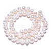 Natural Cultured Freshwater Pearl Beads Strands PEAR-N013-06K-4