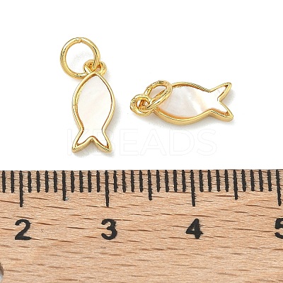 Natural White Shell Fish Charms KK-F926-04B-1