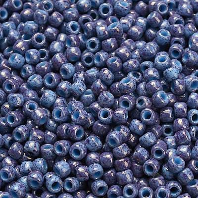 TOHO 6/0 Round Beads X-SEED-TR06-1204-1