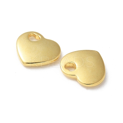 304 Stainless Steel Pendants STAS-I330-031G-1