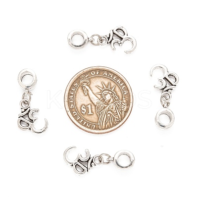 Tibetan Style Alloy Large Hole European Dangle Charms PALLOY-JF00035-1
