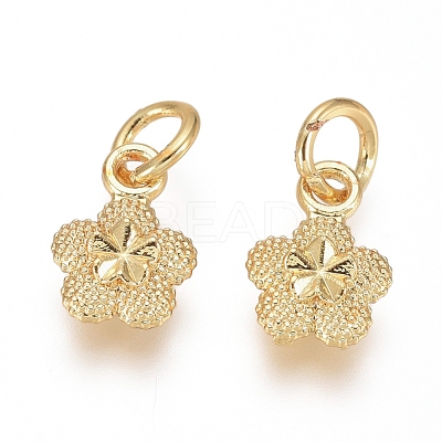 Electroplated Alloy Charms PALLOY-G267-08G-1