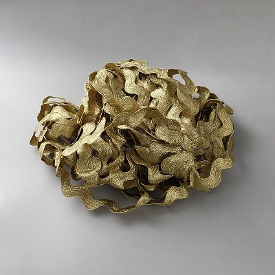 Wave Bending Fringe Trim Polyester Ribbon SRIB-WH0011-325-1