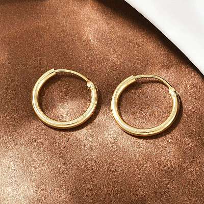 Brass Hoop Earrings EJEW-F378-02G-1