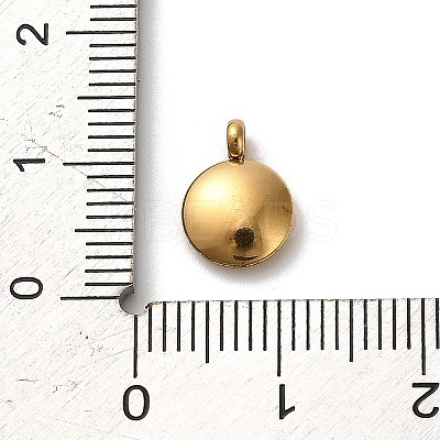 304 Stainless Steel Black Enamel Charms STAS-R009-01G-G-1