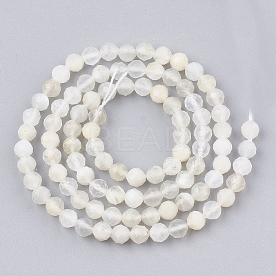Natural White Moonstone Beads Strands G-T107-13-1