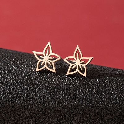 Stainless Steel Stud Earrings for Women LS-PW-WGFE412-29-1