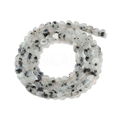 Natural Sesame Jasper Beads Strands G-M403-A40-01-1