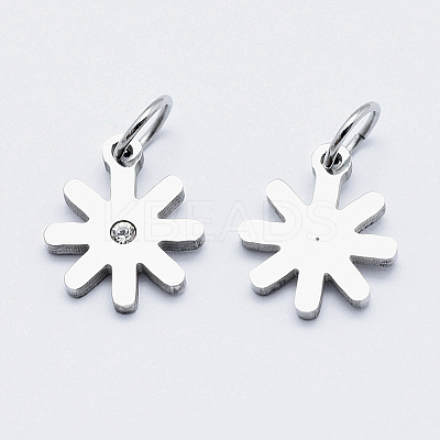 316 Surgical Stainless Steel Micro Pave Cubic Zirconia Charms ZIRC-J040-22P-1