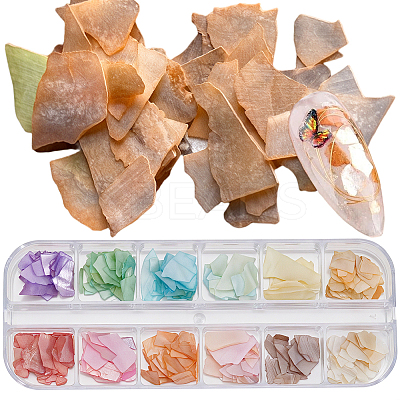 1 Set 12 Grid Nuggets Abalone Shell Nail Art Sequins for Woman Girls MRMJ-SP0001-06-1