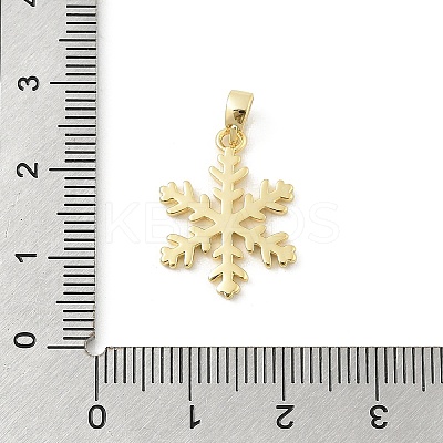 Brass Pendants KK-E791-08G-1