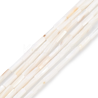 Natural Freshwater Shell Beads Strands X-SHEL-M018-10-1