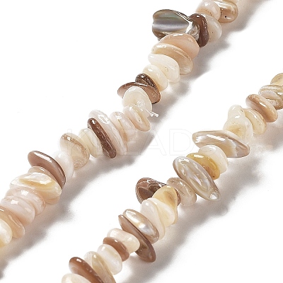 Natural Freshwater Shell Beads Strands X-G-M205-85B-1