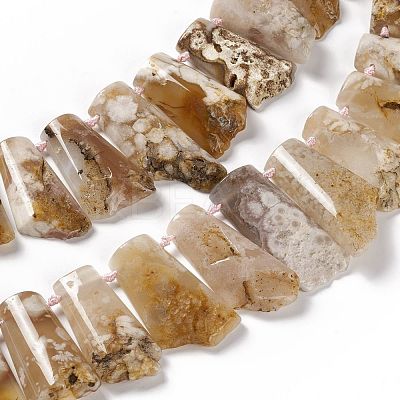Natural Cherry Blossom Agate Beads Strands G-F719-12-1