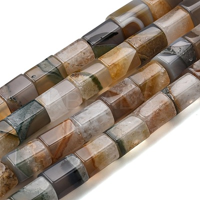Natural Agate Beads Strands G-F820-H01-01-1