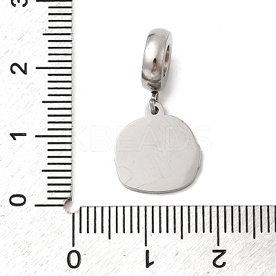 304 Stainless Steel Enamel European Dangle Charms STAS-D153-05A-P-1