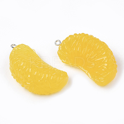 Resin Pendants RESI-T028-25B-1