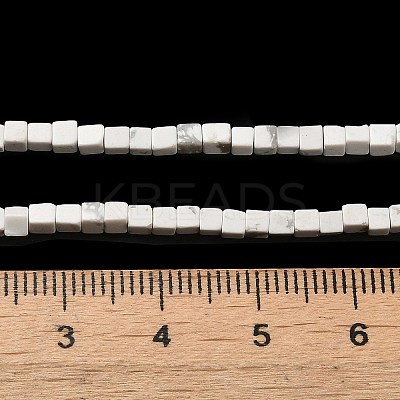 Natural Howlite Beads Strands G-B064-A12-1