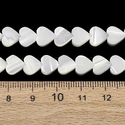 Natural Trochid Shell/Trochus Shell Beads Strands SH-CBA2978-19B-1