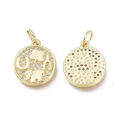 Brass Micro Pave Clear Cubic Zirconia Charms LS-ZIRC-L076-050G-1