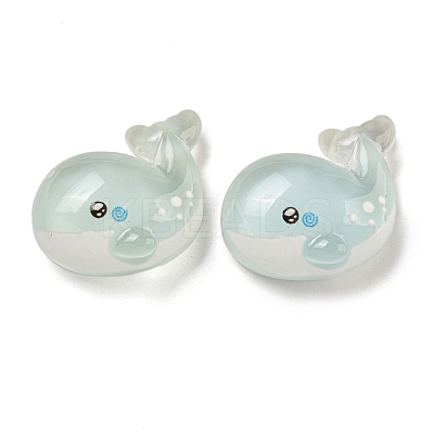 Ice Ocean Theme Opaque Resin Cabochons LS-CRES-D040-02A-1