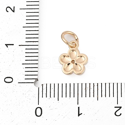Brass Micro Pave Cubic Zirconia Charms LS-KK-Q096-03B-G-1