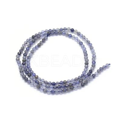 Natural Cordierite/Iolite/Dichroite Beads Strands G-E411-39-2mm-1