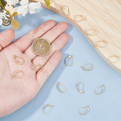 100Pcs 304 Stainless Steel Leverback Earring Findings STAS-HS0001-22-1