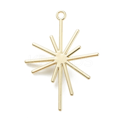 Alloy Pendants X-PALLOY-E580-05LG-1