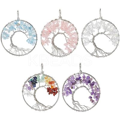 5Pcs 5 Styles Natural Amethyst & Rose Quartz & Aquamarine & Chakra Stone KK-HS0001-04-1