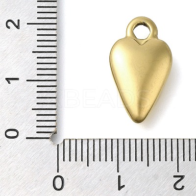 Ion Plating(IP) 304 Stainless Steel Pendants STAS-I310-06G-1