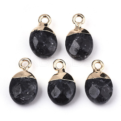 Natural Larvikite Charms X-G-N326-58A-1