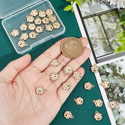 30Pcs 304 Stainless Steel Charms STAS-UN0045-83-1
