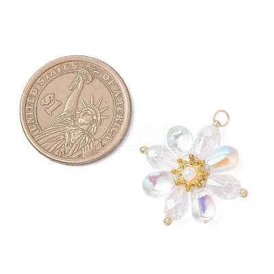 Glass Beaded Pendants PALLOY-MZ01186-01-1
