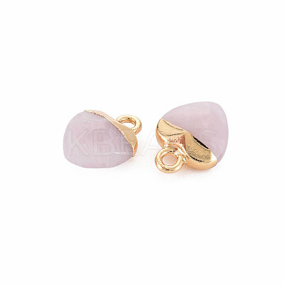 Natural & Synthetic Mixed Stone Charms G-N326-121-M-1