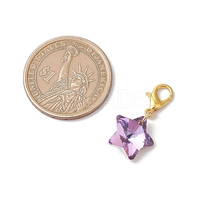 Star Glass Pendant Decorations HJEW-JM02956-1