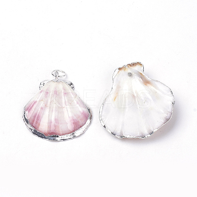 Sea Shell Pendants SSHEL-Q300-004-1