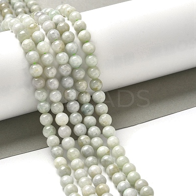 Natural Myanmar Jadeite Beads Strands G-L595-C01-01A-1