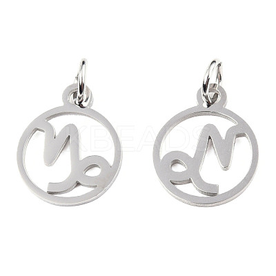 Non-Tarnish 304 Stainless Steel Charms STAS-T036-T513-A10-1