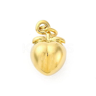 304 Stainless Steel Charms LS-STAS-U049-01A-04G-1
