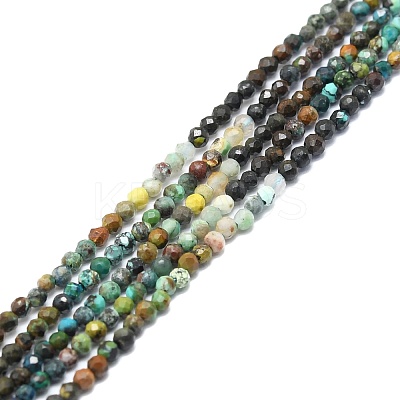 Natural Chrysocolla and Lapis Lazuli Beads Strands G-P457-A01-08-1