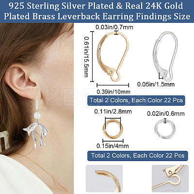 44Pcs 2 Color Brass Leverback Earring Findings KK-CN0003-05-1