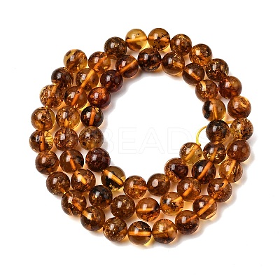 Natural Amber Beads Strands G-K376-H02-01-1