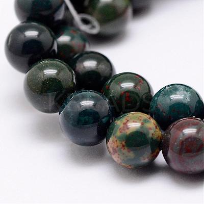 Natural Indian Bloodstone Beads Strands G-P257-07-6mm-1