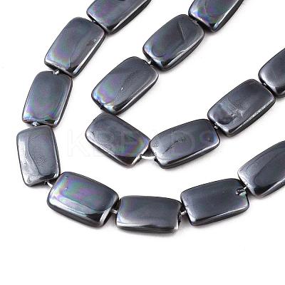 Electroplate Natural Freshwater Shell Beads Strands X-SHEL-R049-027E-1