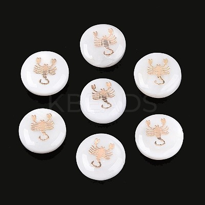 Natural Freshwater Shell Beads SHEL-N037-02F-G-1