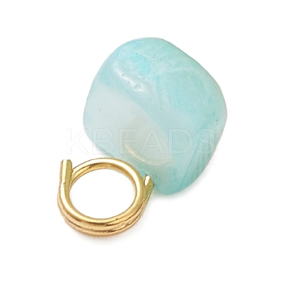 Dyed Natural Freshwater Shell Nuggets Charms PALLOY-JF05032-01-1