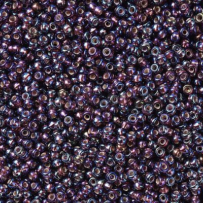 MIYUKI Round Rocailles Beads X-SEED-G007-RR1013-1